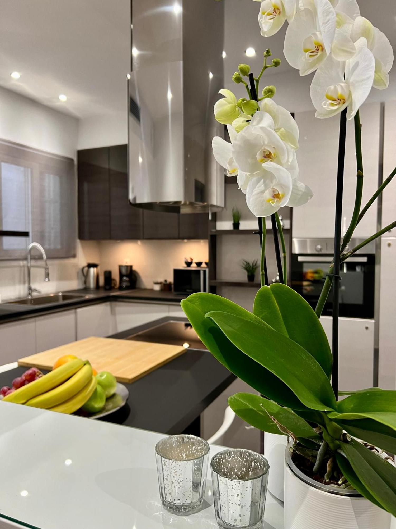 Acropolis View Deluxe Penthouse & Luxury Apartments Афіни Номер фото